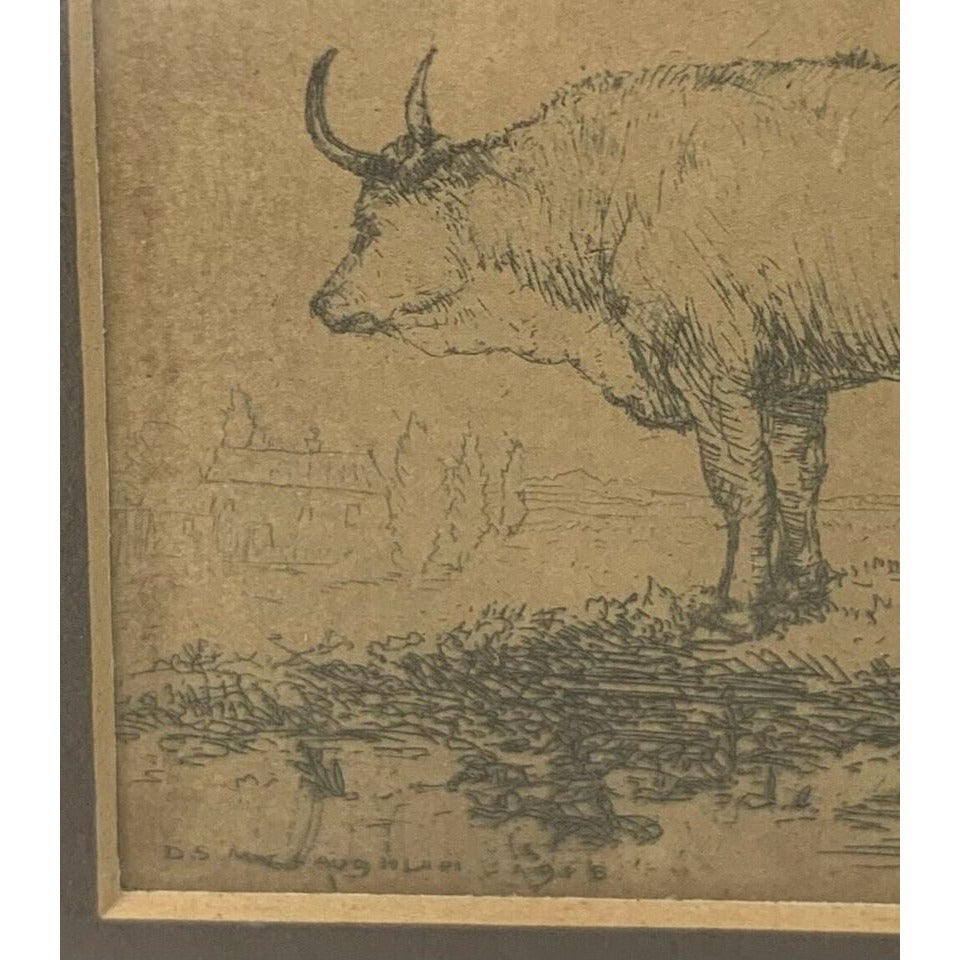 Antique Framed Original The White Ox Etching Print by Donald Shaw MacLaughlan